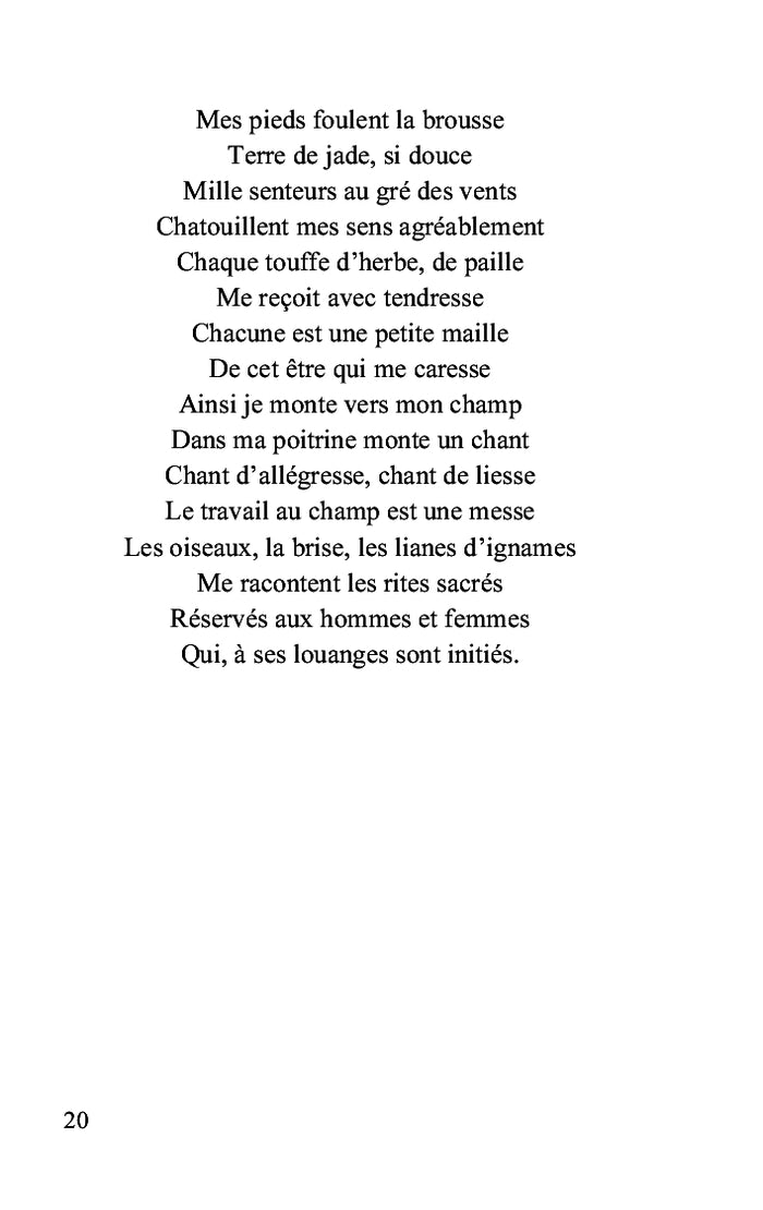 Poésies nomades et autres histoires...