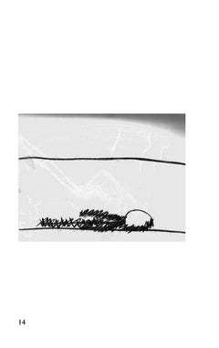 Escapade chez les fous