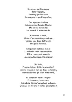 L'ombre du soleil