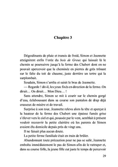 Le chemin d'Orléans