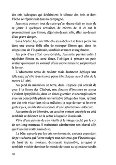Le chemin d'Orléans