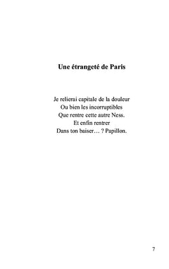 L'étrangeté de Paris
