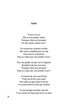 Les lumières de David