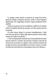 Le chêne d'Ali