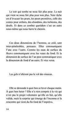Nos luttes finales