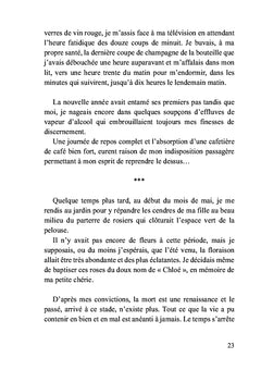 L'accident