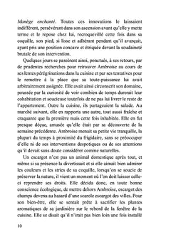 Brèves de conte