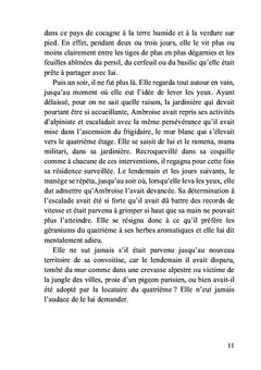 Brèves de conte