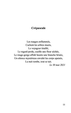 Une voix, une nuit