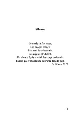Une voix, une nuit