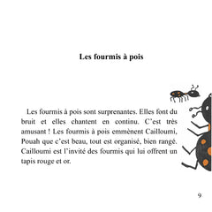 Le voyage de Cailloumi