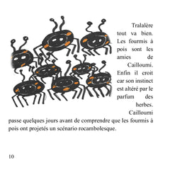 Le voyage de Cailloumi