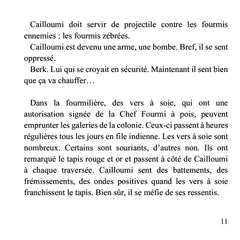 Le voyage de Cailloumi