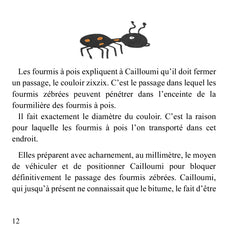 Le voyage de Cailloumi