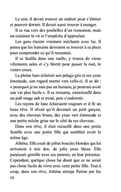 Le chat qui voulait devenir petit garçon