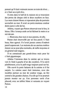 Le chat qui voulait devenir petit garçon