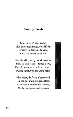 La gouache de l'âme