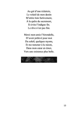 La gouache de l'âme