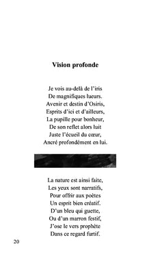 La gouache de l'âme