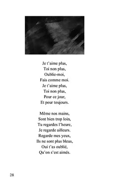 La gouache de l'âme