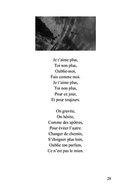 La gouache de l'âme