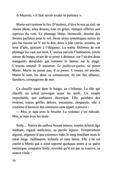 Le dîner aux Badamiers