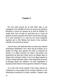 Parties de chasse