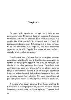 Parties de chasse