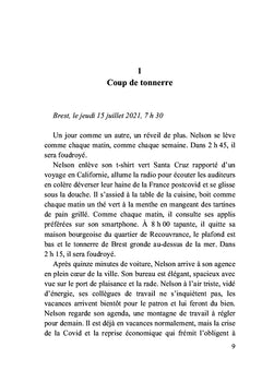 Les rayures du zèbre