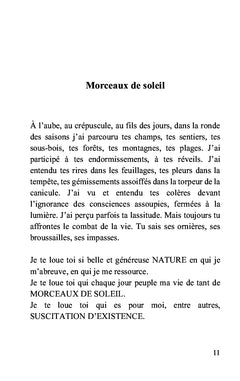 Morceaux de soleil