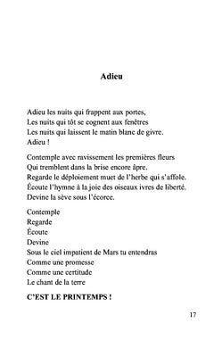 Morceaux de soleil