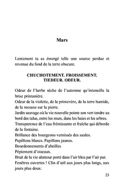 Morceaux de soleil