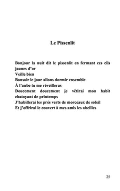 Morceaux de soleil
