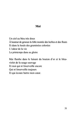 Morceaux de soleil