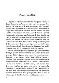 Totoche de Levallois