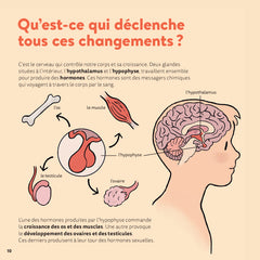 La puberté