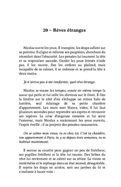 Les Visions de Nicolas