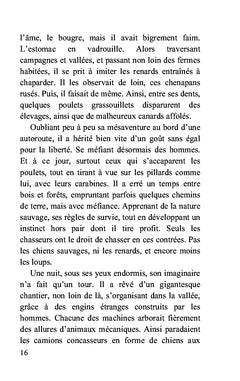 Escapade au Mexique