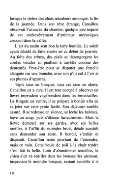 Escapade au Mexique