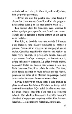 Escapade au Mexique