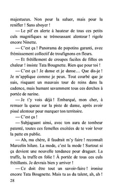Escapade au Mexique
