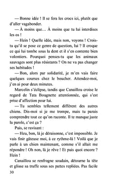Escapade au Mexique