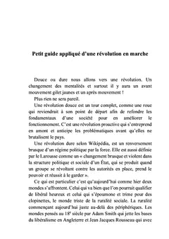 Les Gilets jaunes