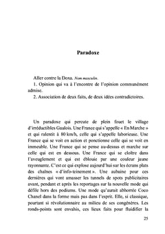 Les Gilets jaunes