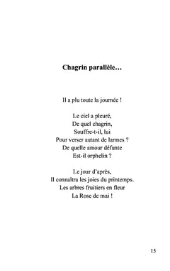 Après le jour, advint le poétique