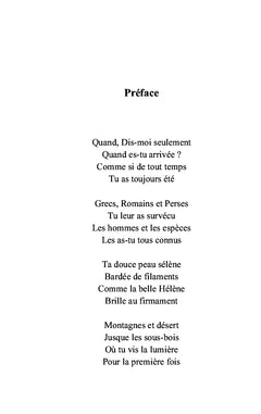 Les petites lumières