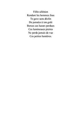 Les petites lumières