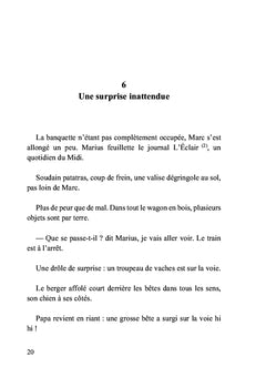 Le petit berger aux yeux bleus
