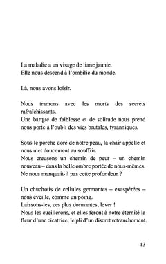 Le dit de l'île