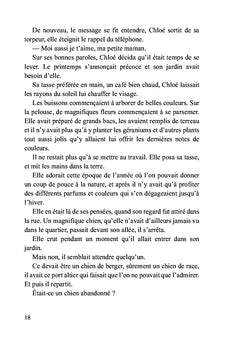 Le chevalier blanc